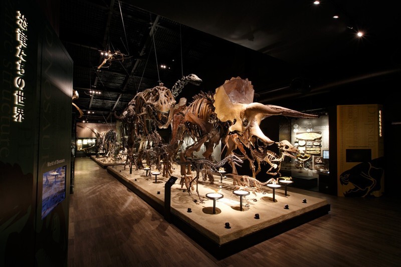 御船町恐竜博物館