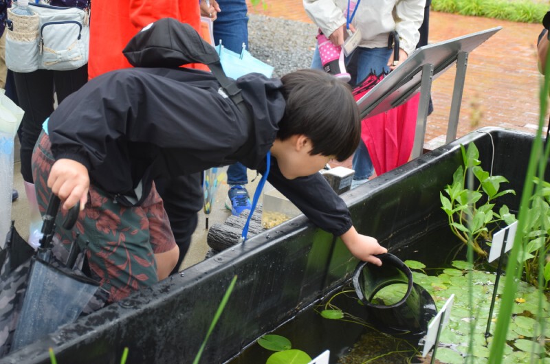 教育普及イベント