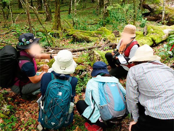 観察会　富士山 西臼塚の自然観察会